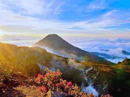 Gunung gede